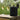 Black stainless steel ice bucket with lid next to two champagne glasses on a wooden crate in an outdoor setting